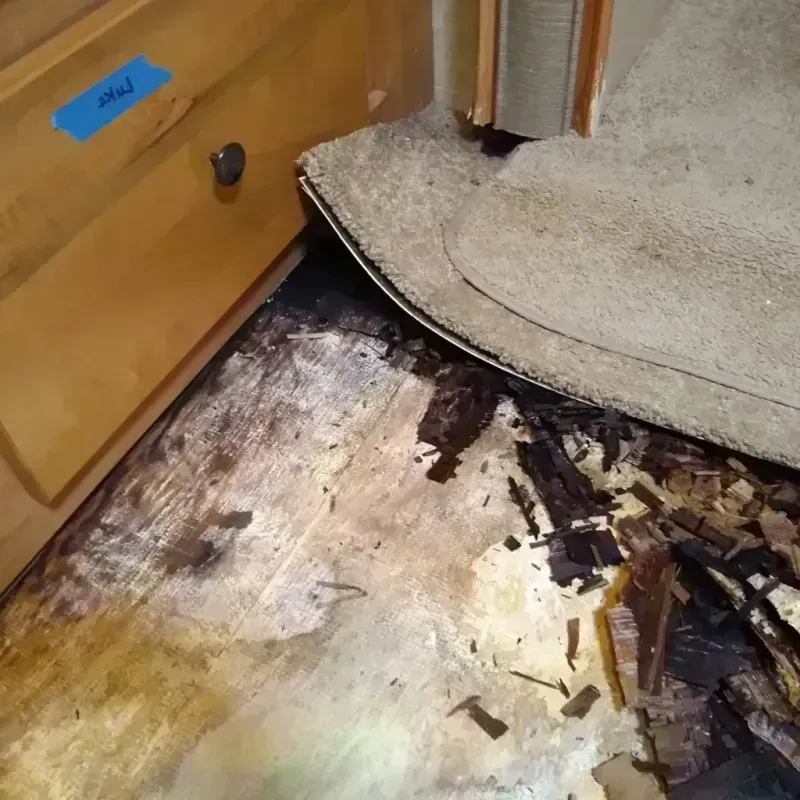 Wood Floor Water Damage in Mineral County, NV